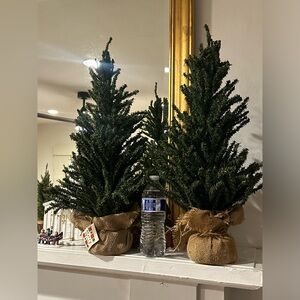 Miniature Burlap-Wrapped Holiday Tree Set